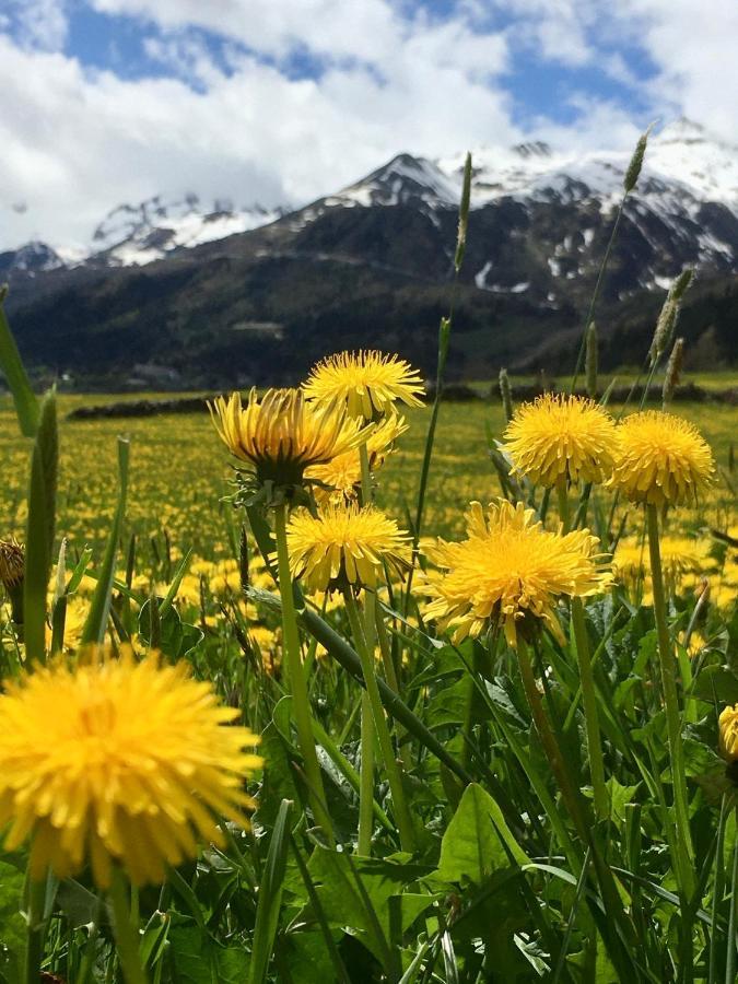 B&B Gottardo ไอโรโล ภายนอก รูปภาพ